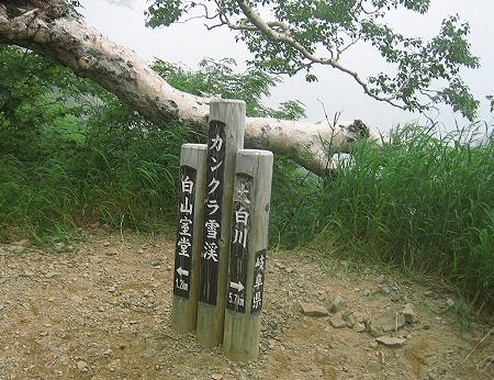 カンクラ雪渓