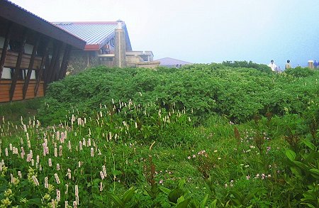 室堂ビジターセンター